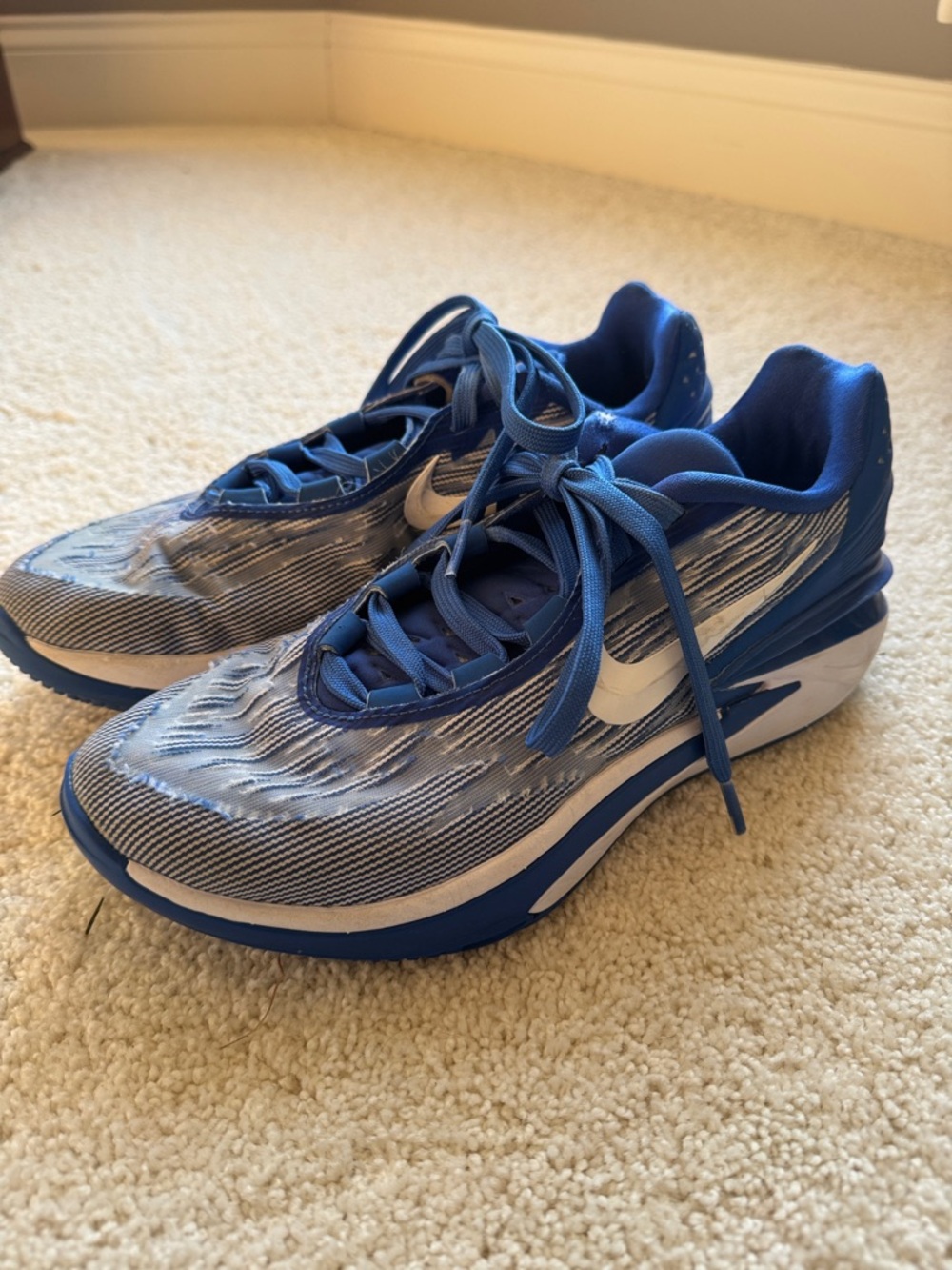 Men’s Nike Blue and White Basketball Shoes